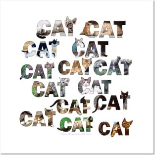 CATS CATS CATS - mixed cat breed oil painting word art Posters and Art